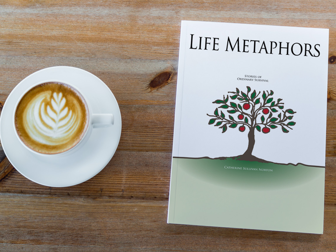 Life Metaphors Book